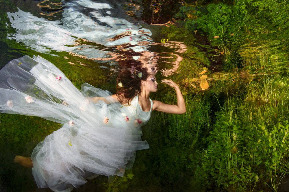 The Fairy of the Magic Spring