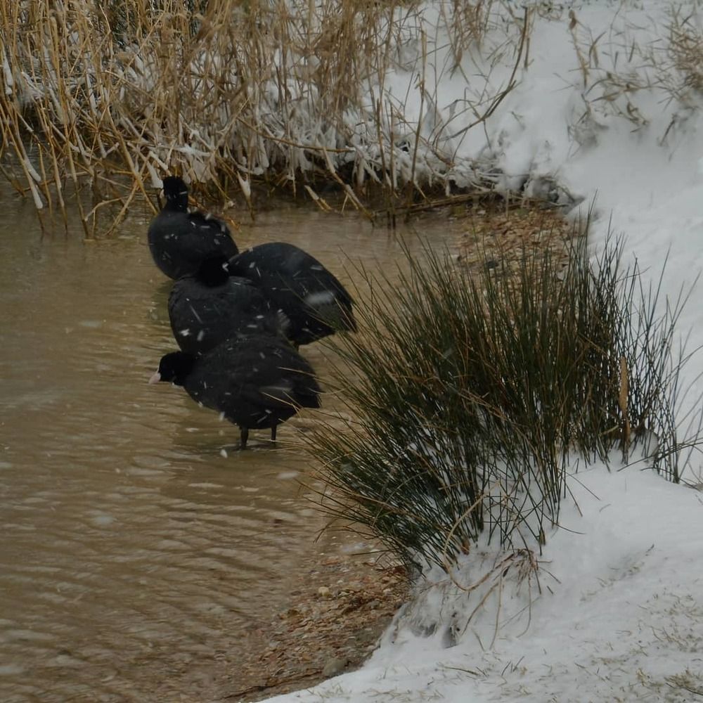 Photograph by Елена Коробкина