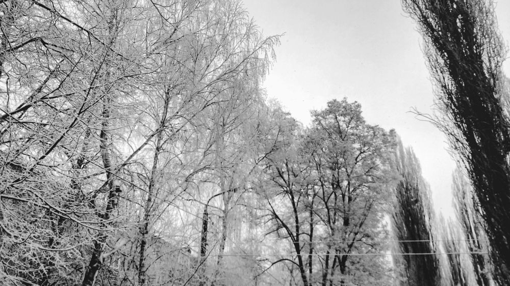 Photograph by Анжелика Короткова