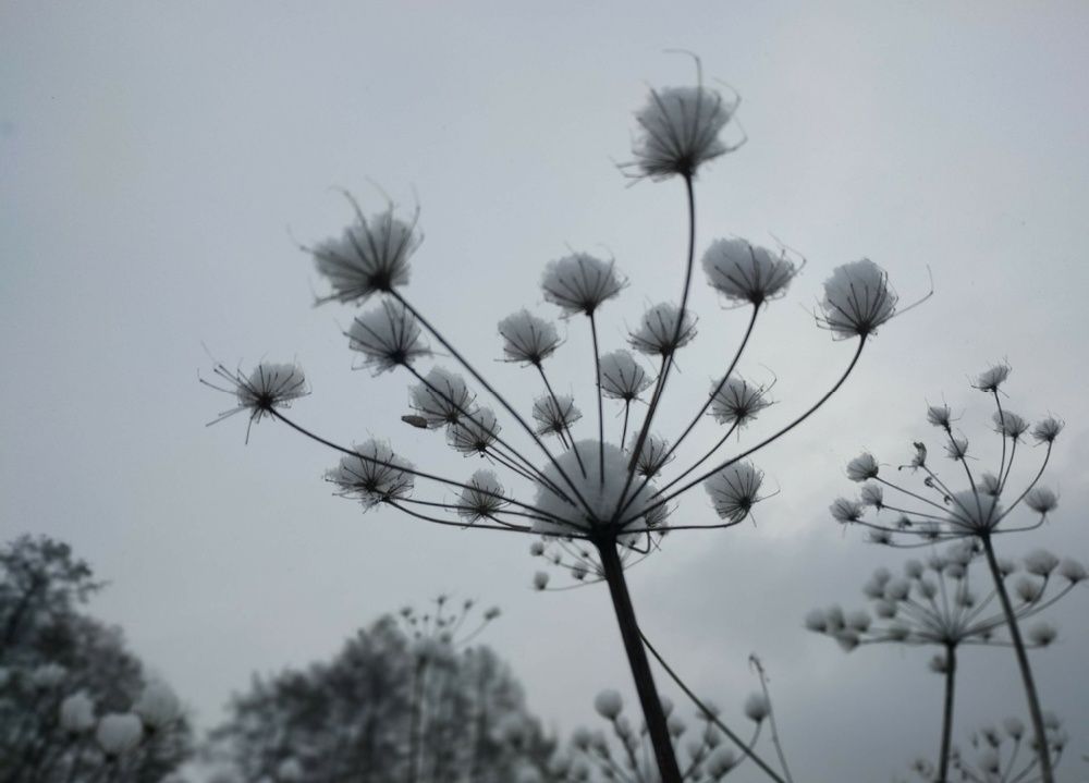 Photograph by Дарья Гришина