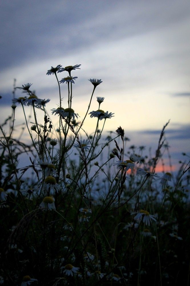 Photograph by Мария Храмова