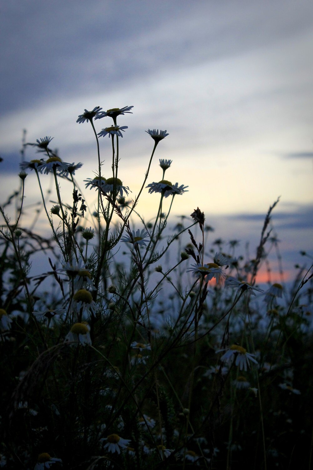 Photo #5572413