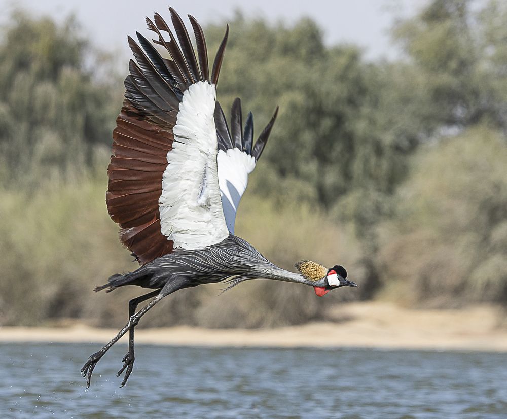 Фотография автора MOHAMED ISMAIL