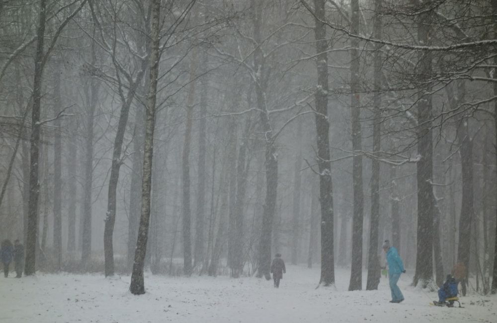 Photograph by Дарья Гришина