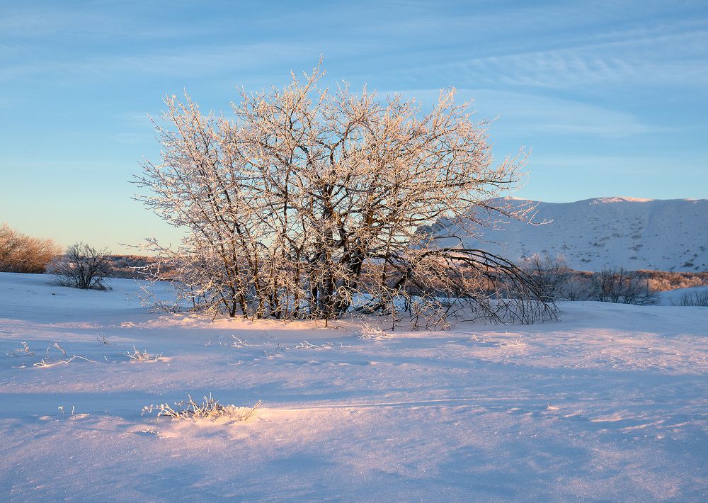 Photograph by Елена Ковригина