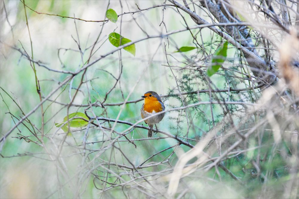 Photograph by Odysseas Christofides