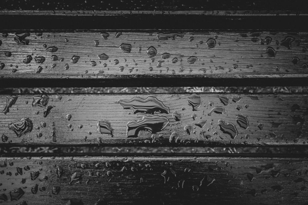 Фотография автора Ilie Shoshu