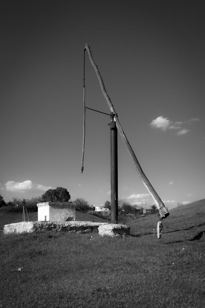 Фотография автора Ilie Shoshu