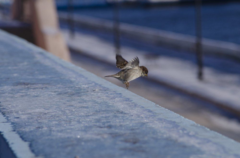 Photograph by Кирилл Грачев