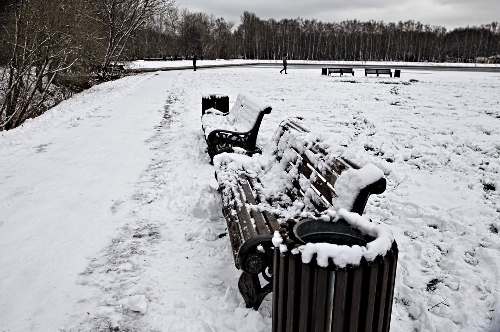 Photograph by Елена Румянцева