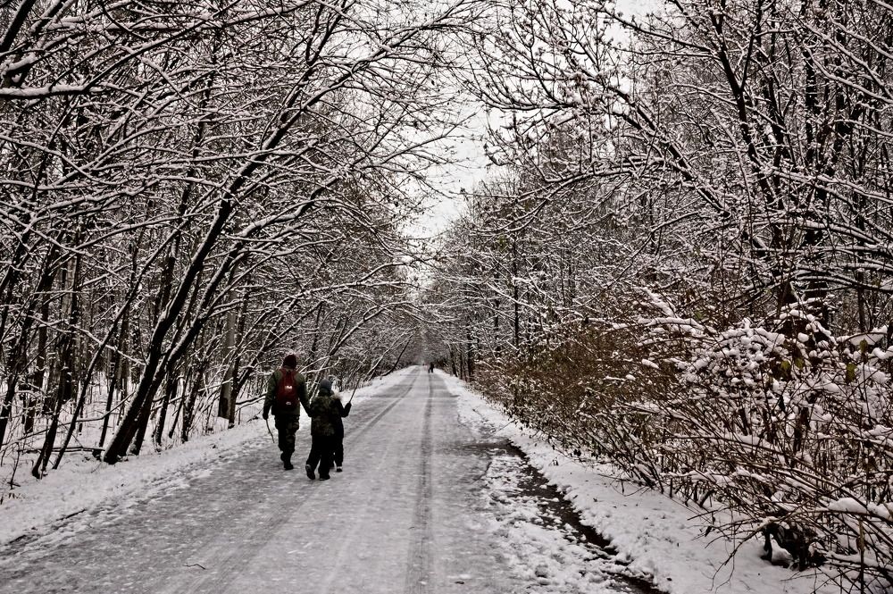 Photograph by Елена Румянцева