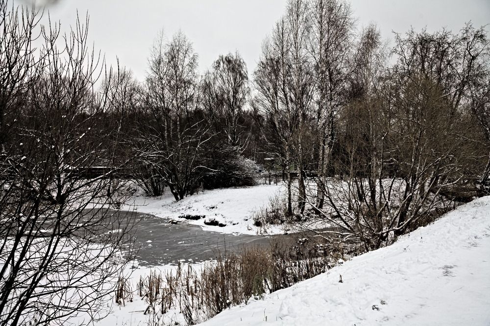 Photograph by Елена Румянцева