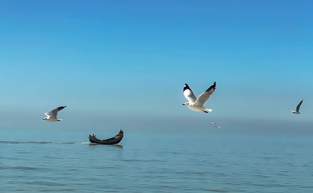 Photograph by Hasan Mohammad