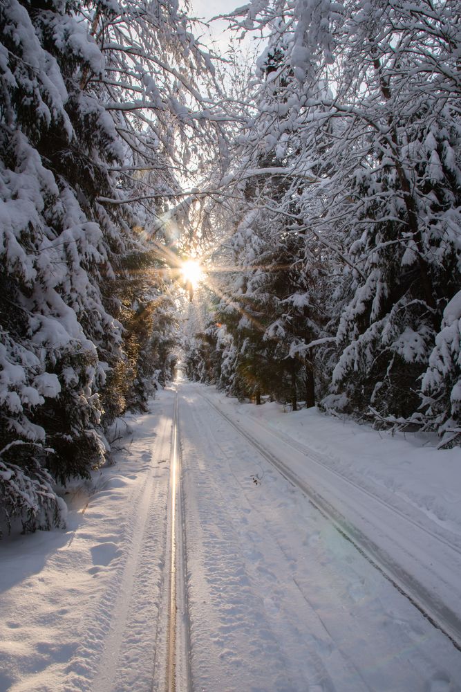 Фотография автора Геннадий Коробов
