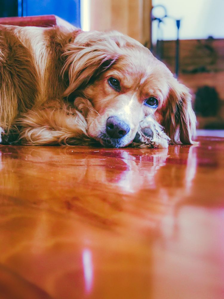 Photograph by humberto linares