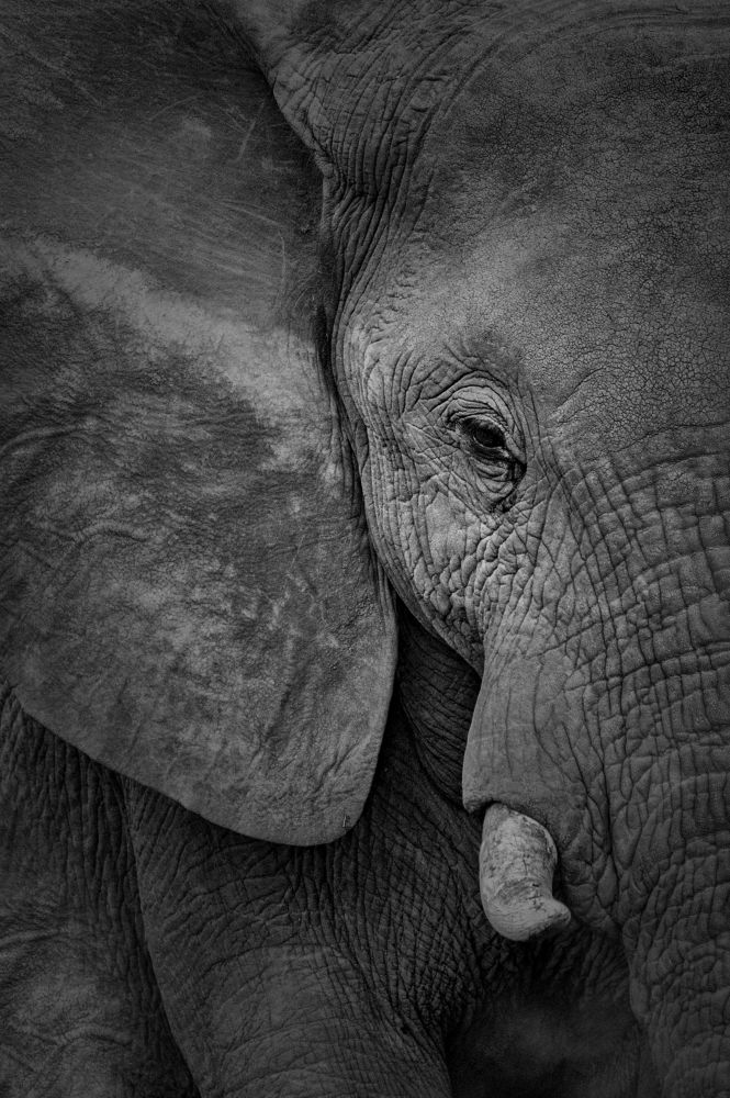 Photograph by EELIN Chan