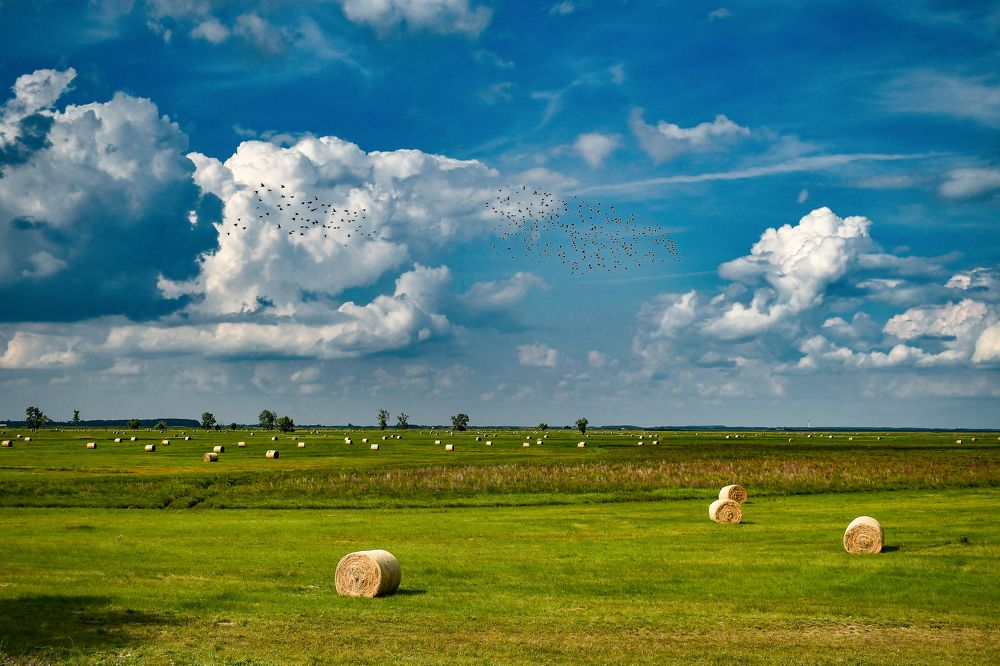 Photograph by Attila Mező