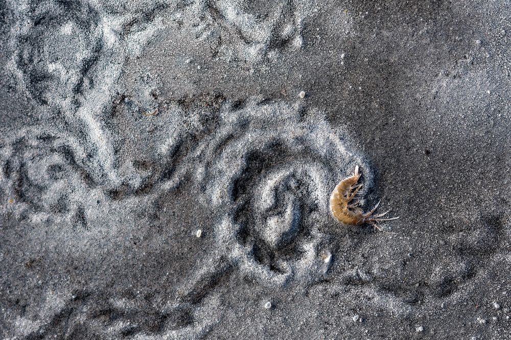 Photograph by Александр Абросимов