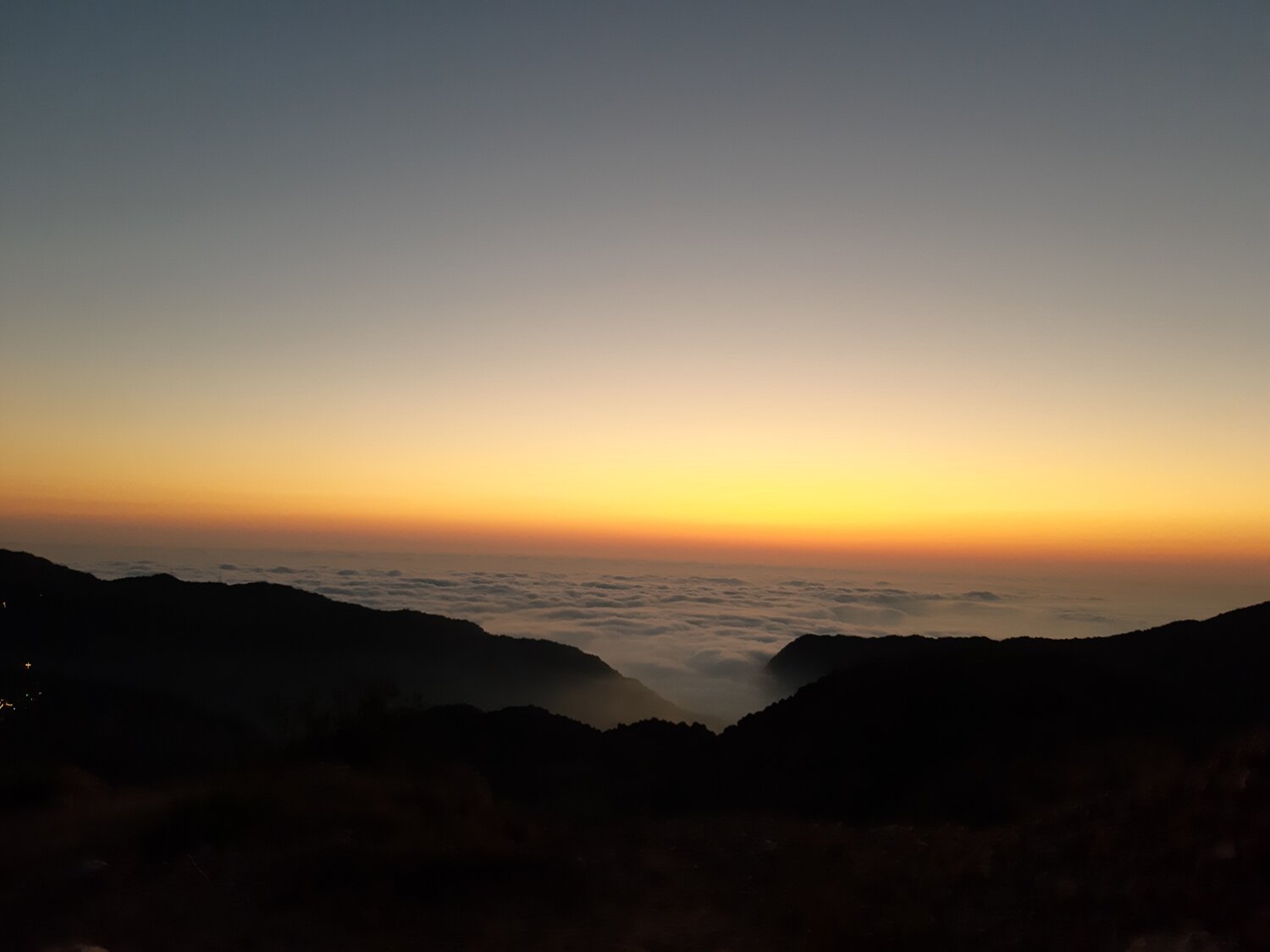 Photo #5572852