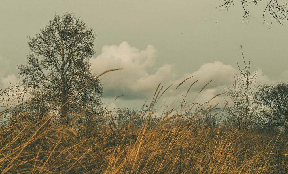 Photograph by Ваиль А.