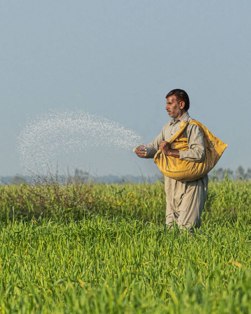 Agriculture farmer