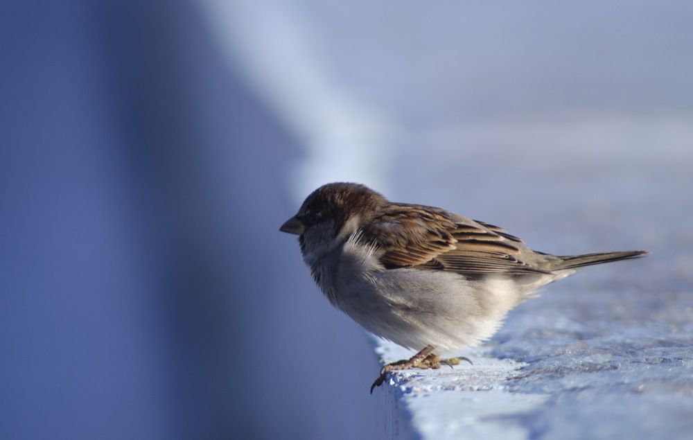 Photograph by Кирилл Грачев