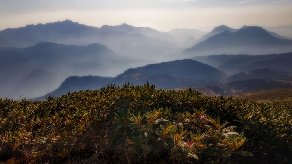 Photograph by ОЛЬГА КОВАЛЁВА