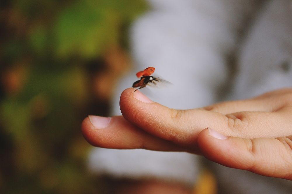 Photograph by Елизавета Верёвкина