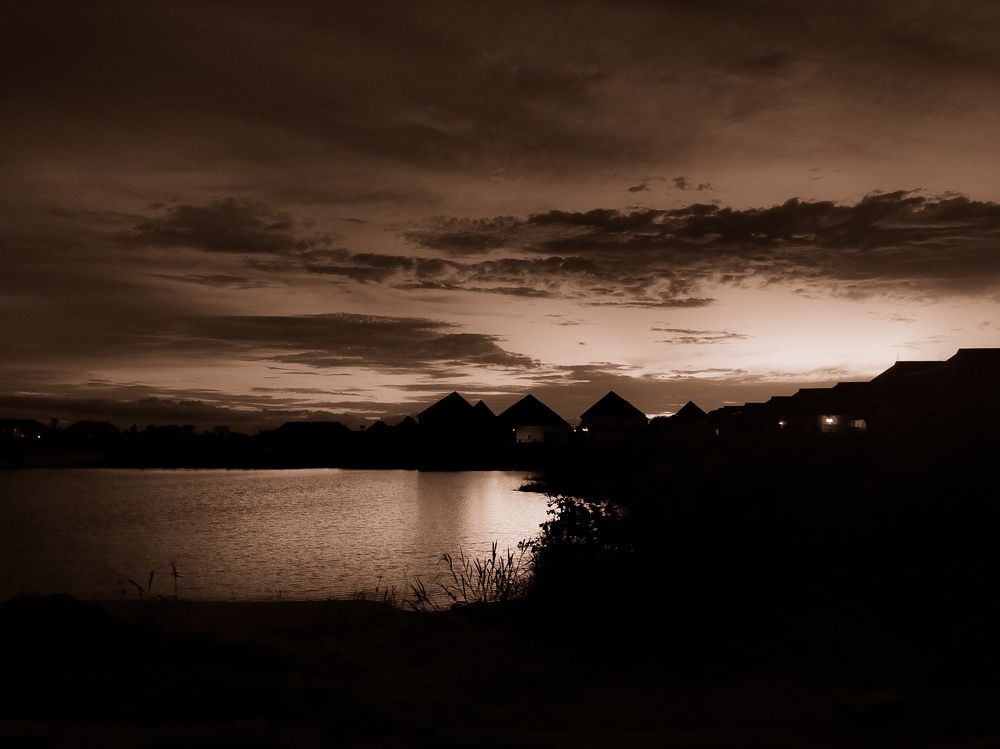 Photo #5573020