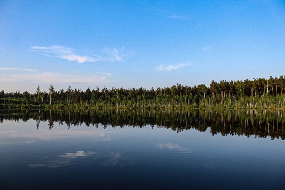 Photograph by Ольга Ежкова