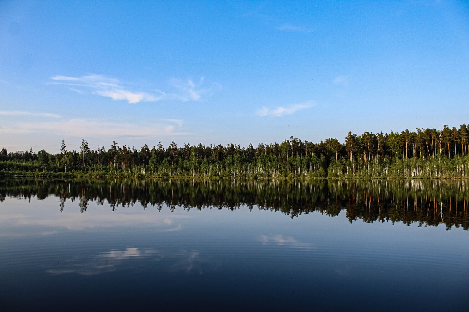Photo #5573033
