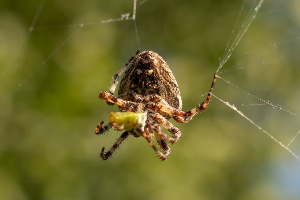 Photograph by Екатерина Каменцева