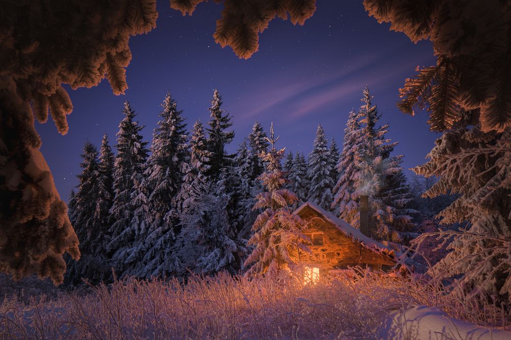 Winter fairytale
