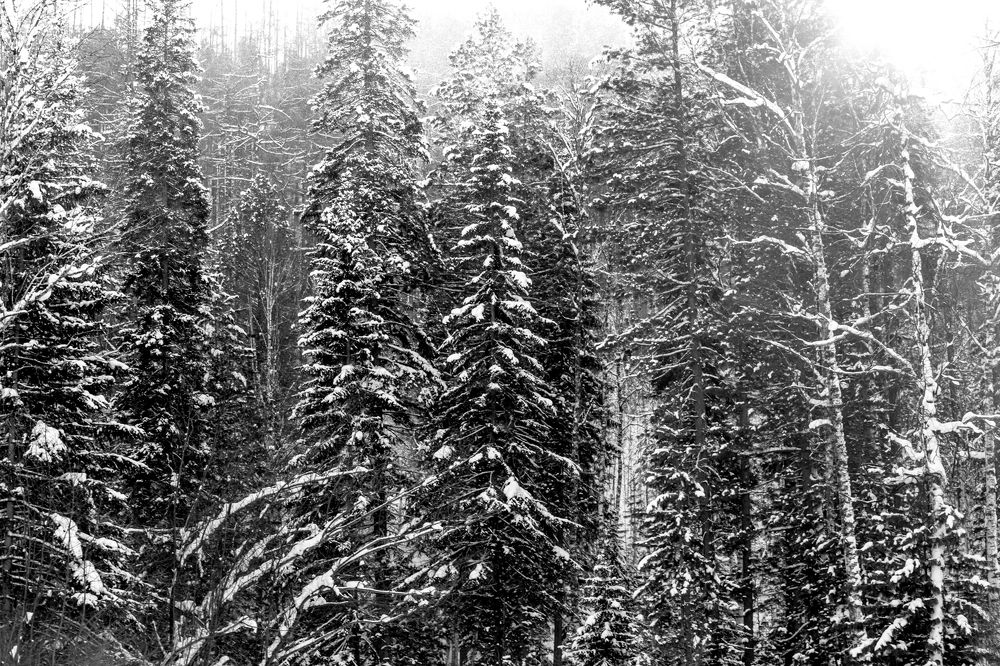 Фотография автора Оркина Ксения