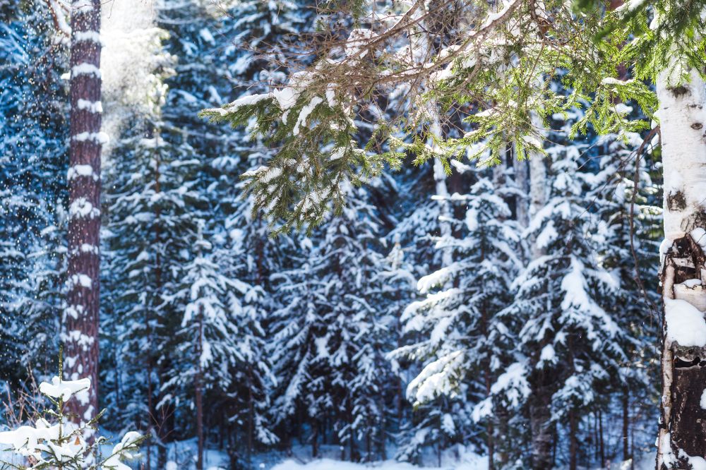 Фотография автора Оркина Ксения