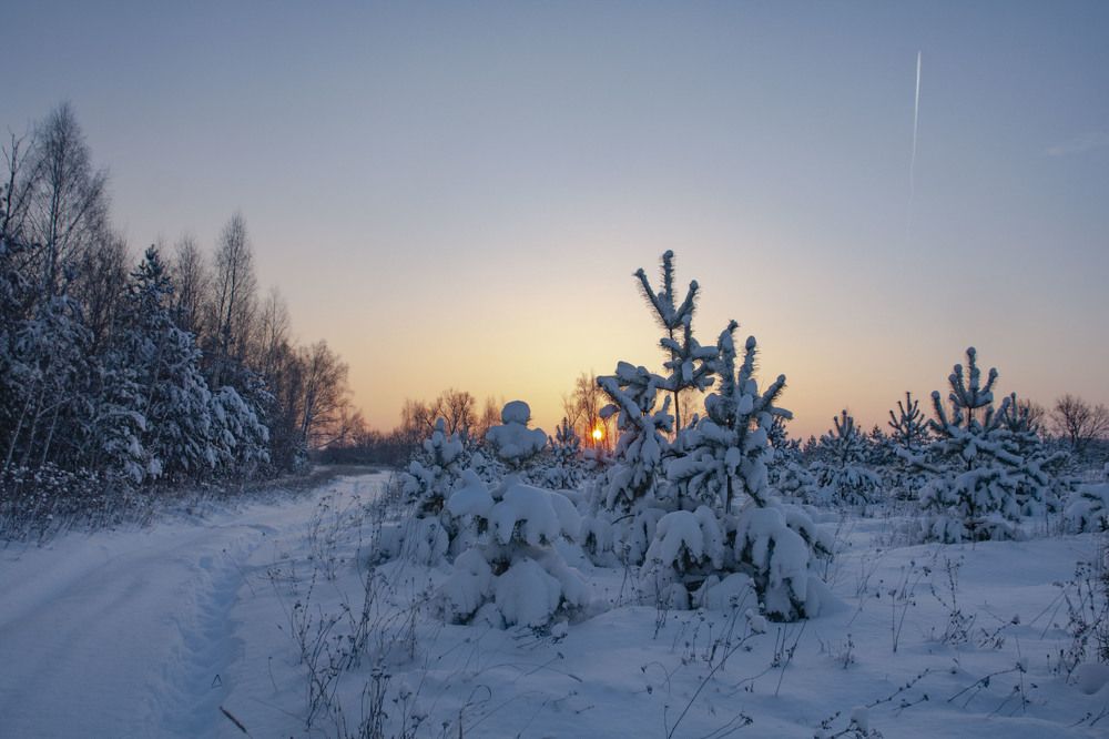 Photograph by Галина Завязкина