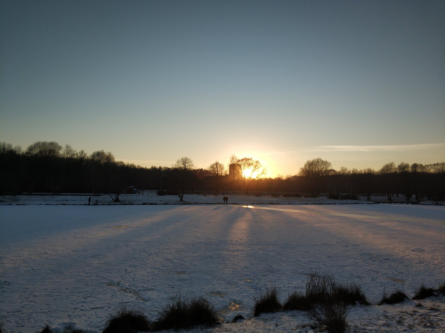 Photo #5573127