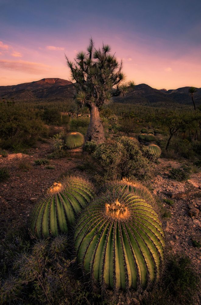 Photograph by Brian mena laureano