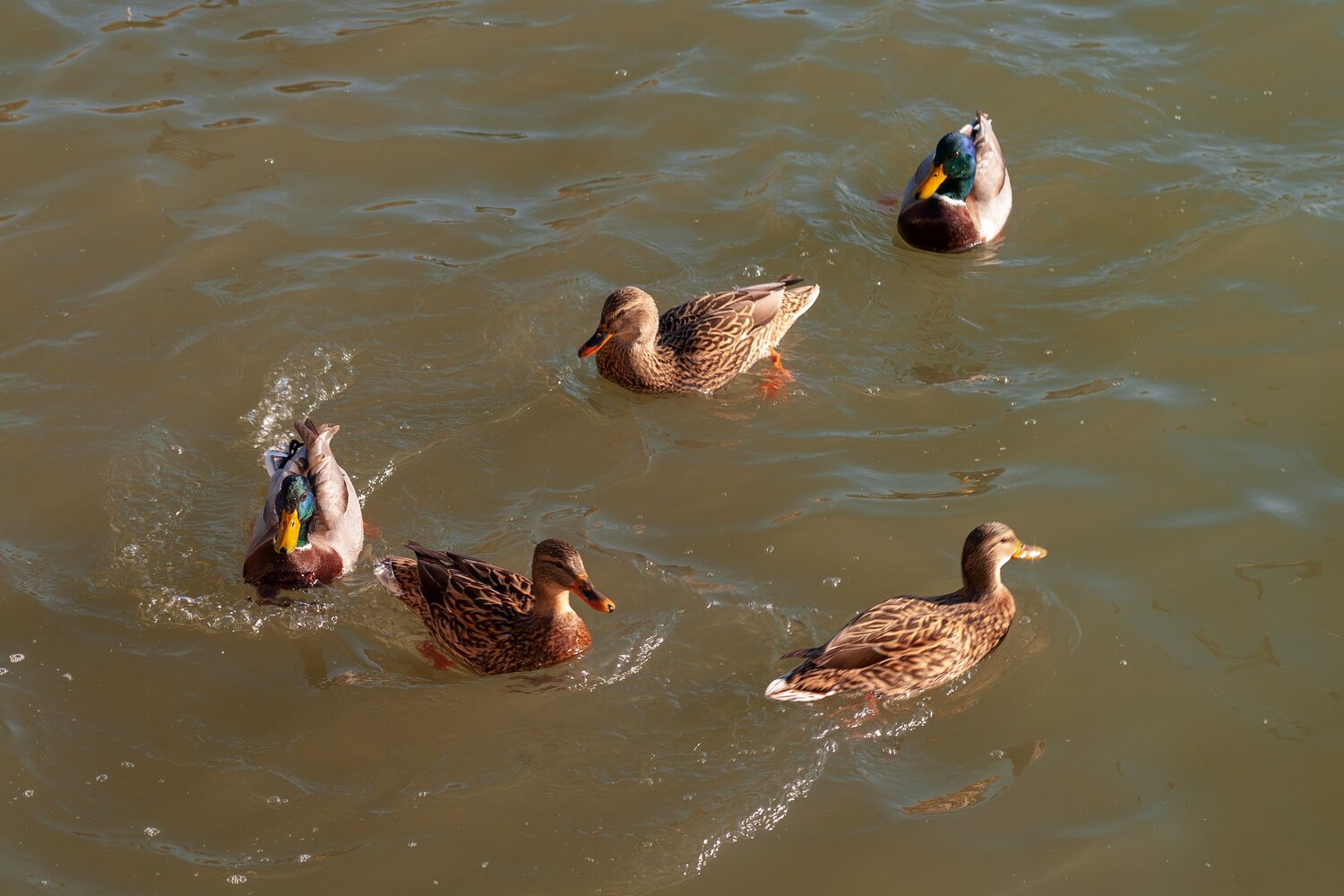 Photo #5573404