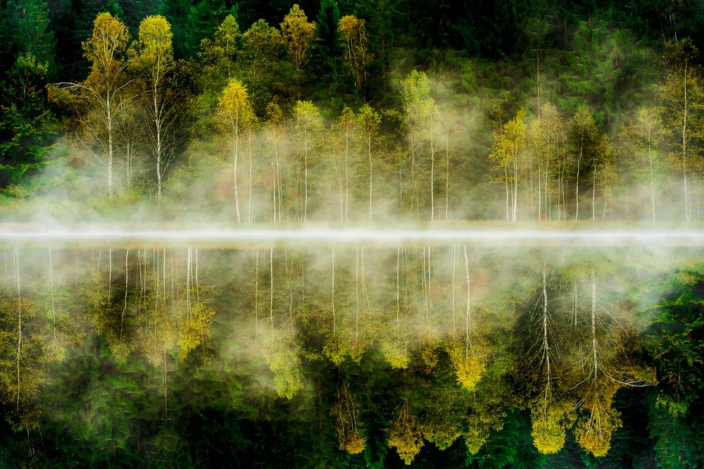 Photograph by Sanziana Rachiteanu