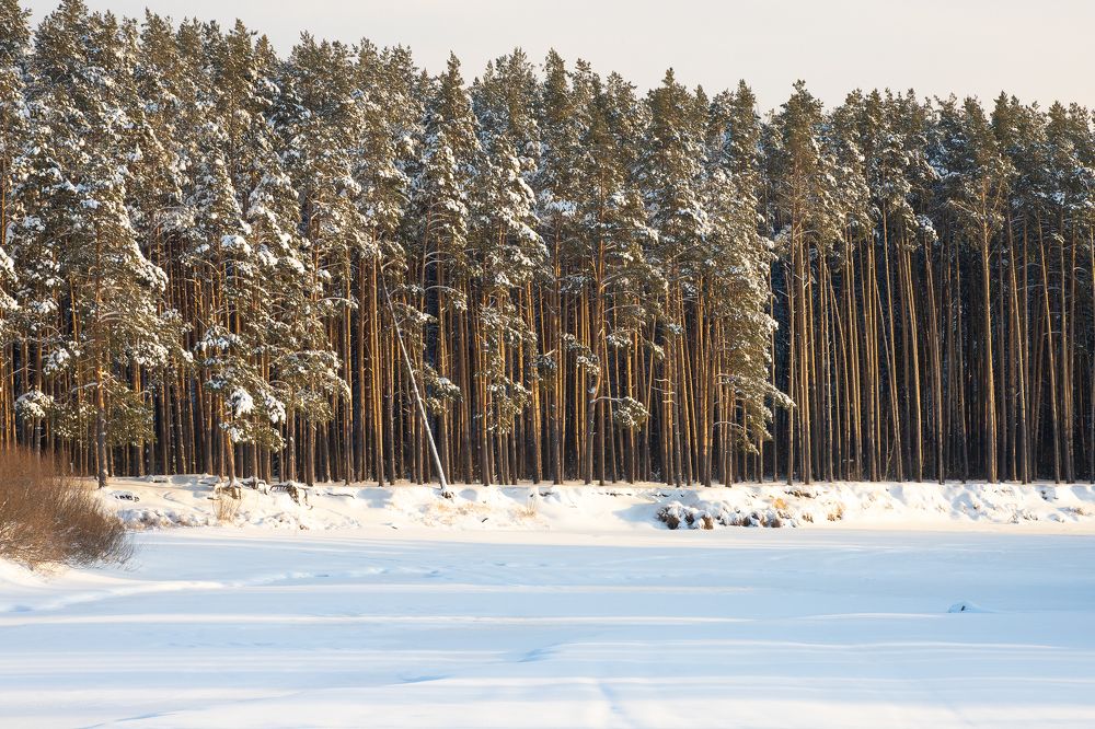 Photograph by Дмитрий Чудинин