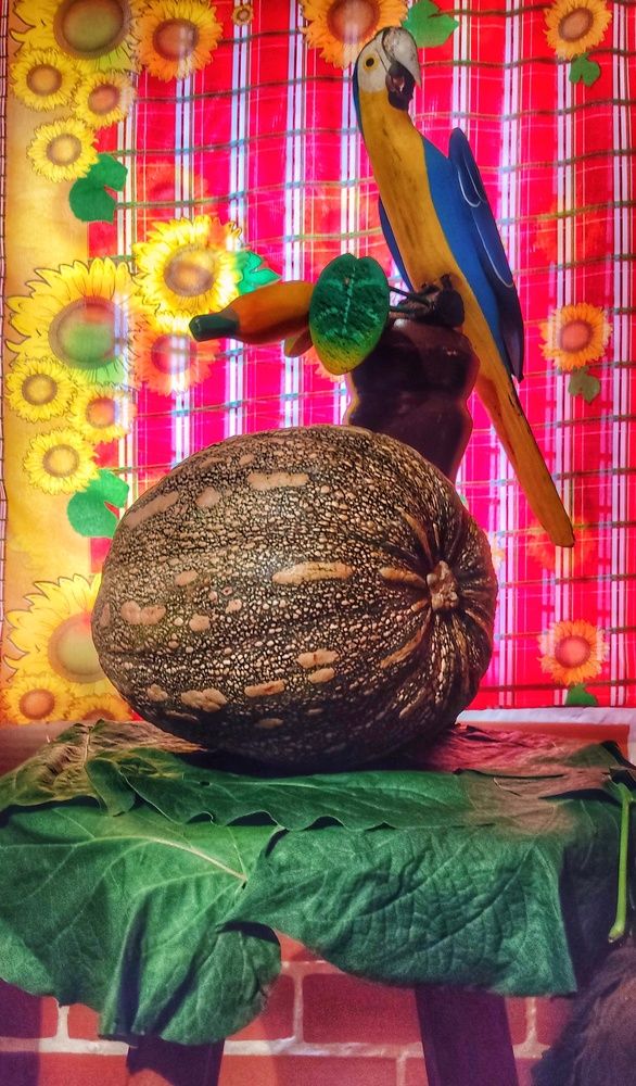 Photograph by Nileydi Colmenarez