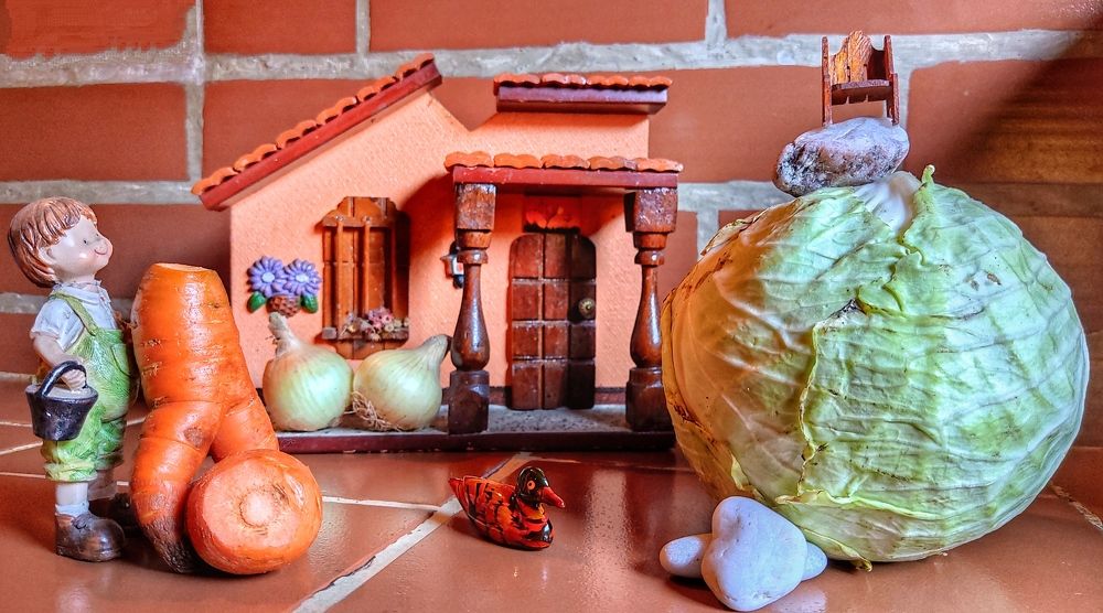 Photograph by Nileydi Colmenarez