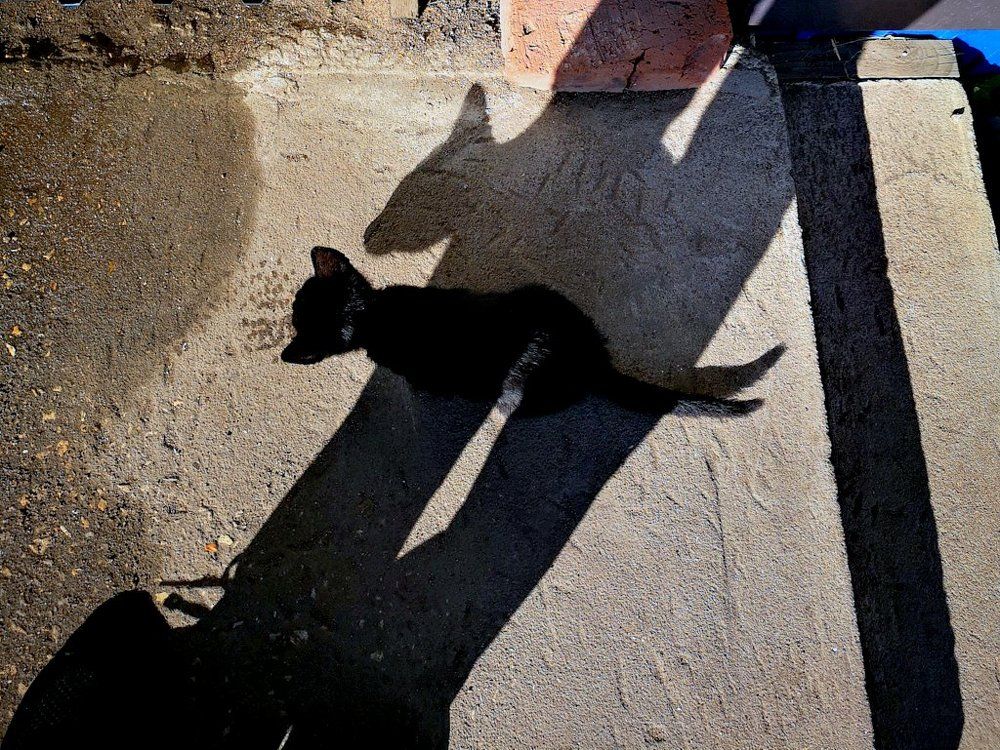 Photograph by Степанов Евгений