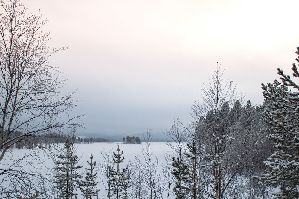 Photograph by Евгения Тарасова