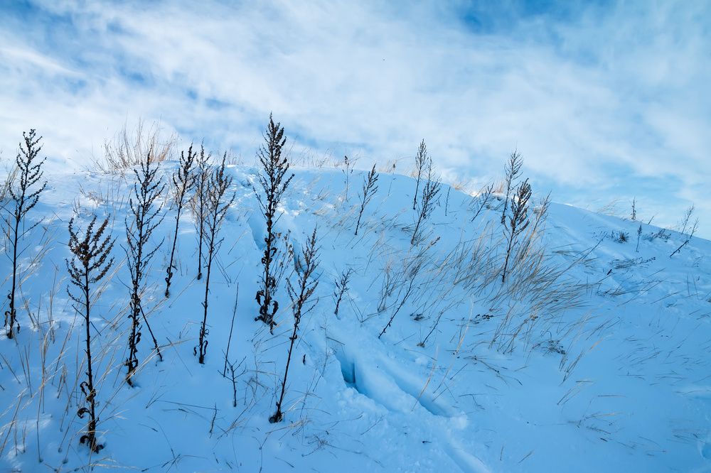 Photograph by Олег Мельченков