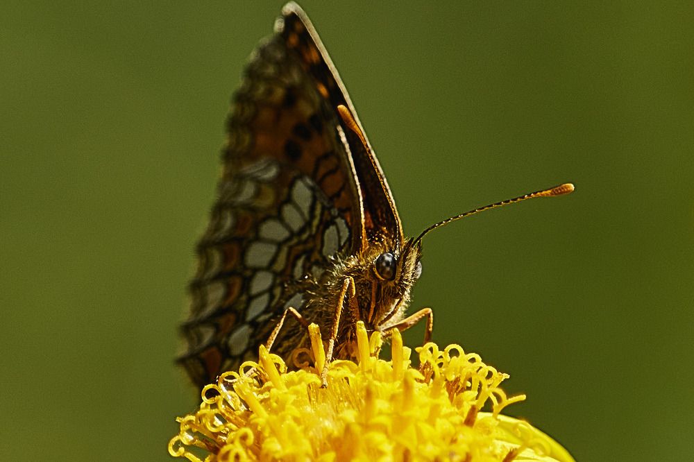 Photograph by Татьяна Полянская