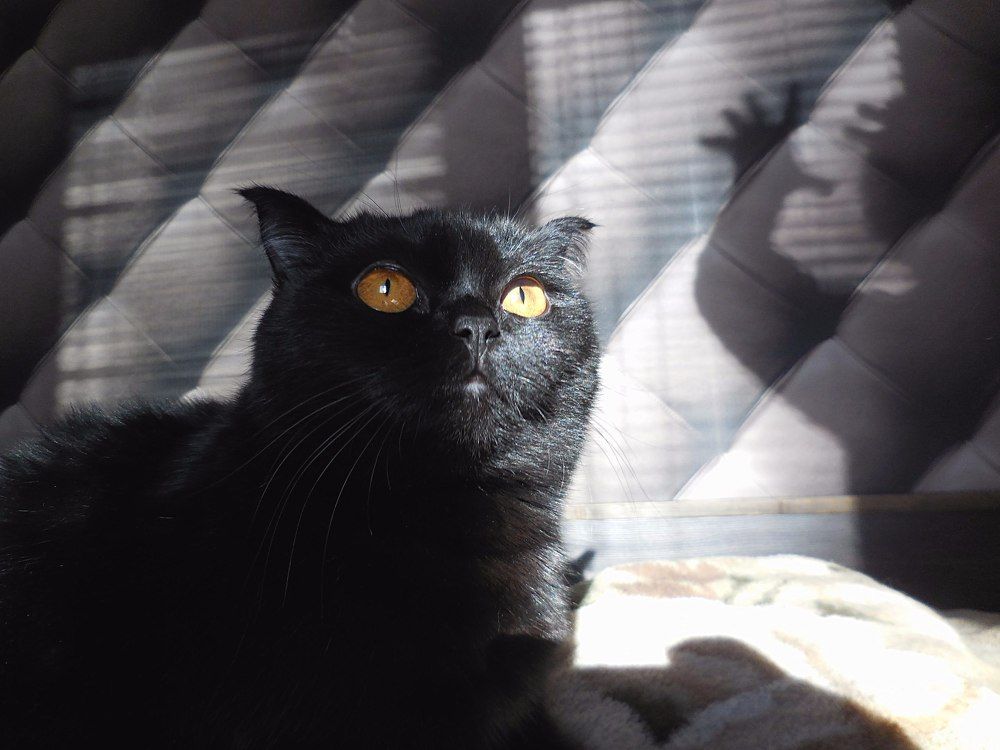 Photograph by Олег Мельченков