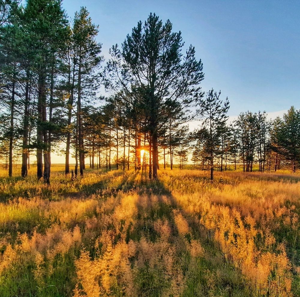 Photograph by Ольга Шаньгина