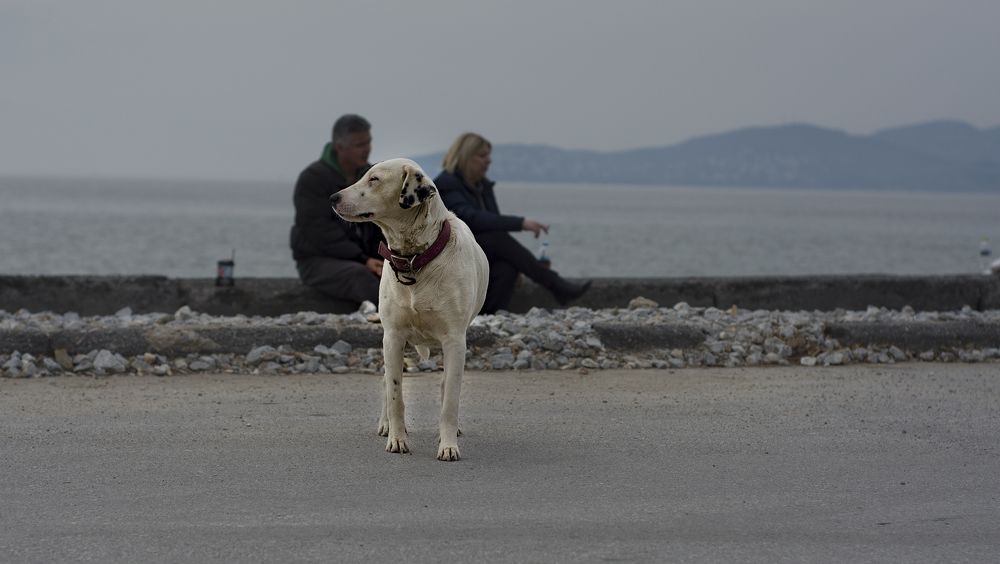 Photograph by Ritsa Karasmanoglou